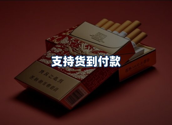 专业团队办公环境